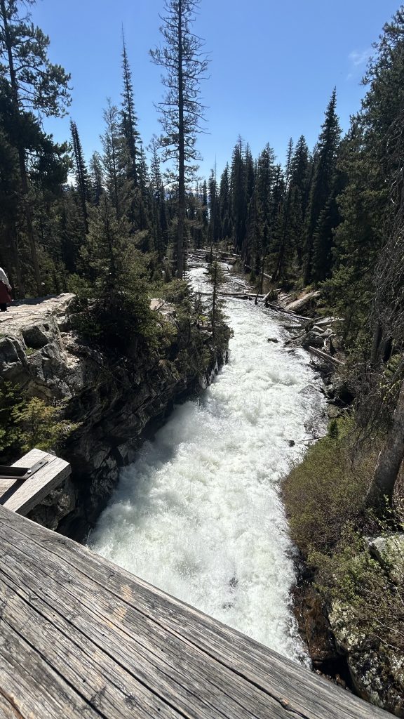 A Complete Guide to Hiking Jenny Lake to Inspiration Point